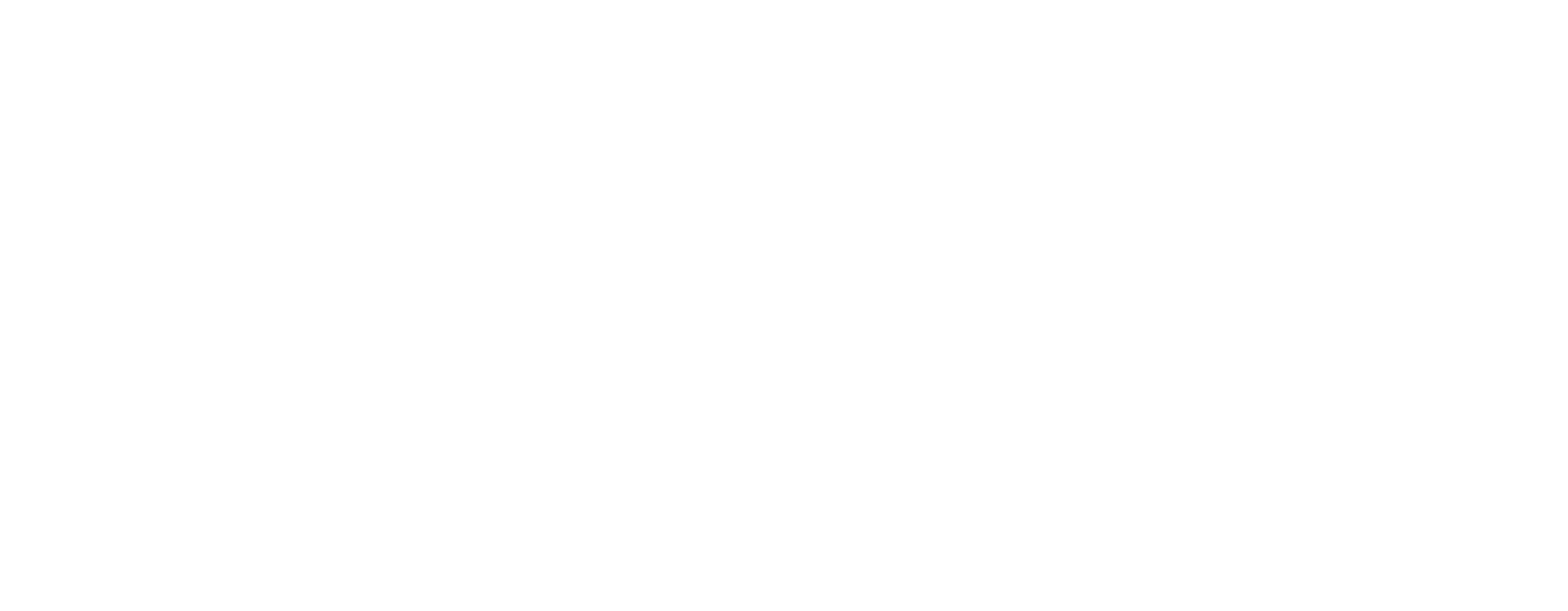 Logo Denise Ferreira